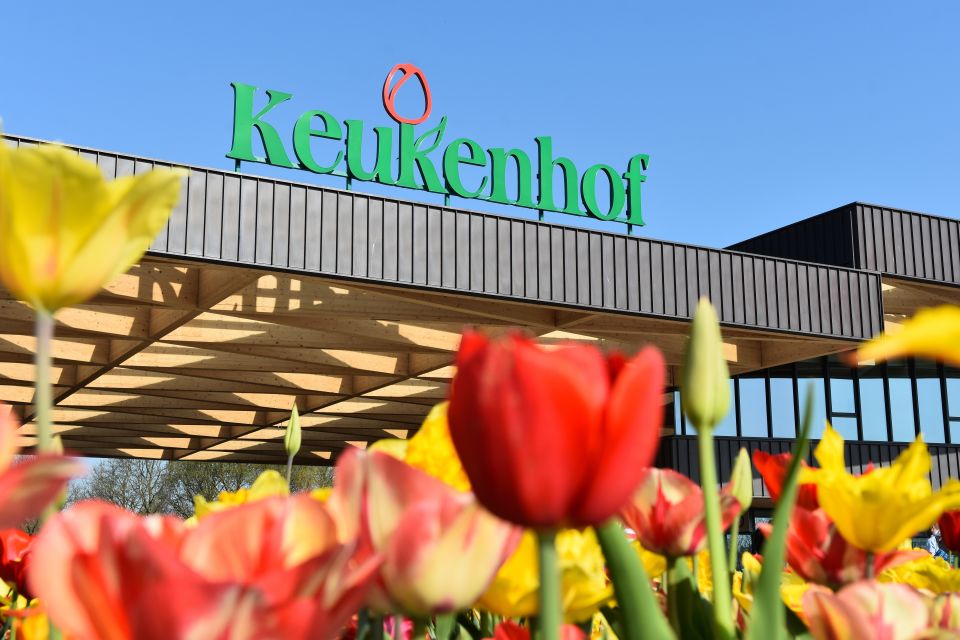 From Amsterdam: Keukenhof Gardens & Tulip Experience Tour - Price and value: is $94 a smart way to see tulips from Amsterdam?