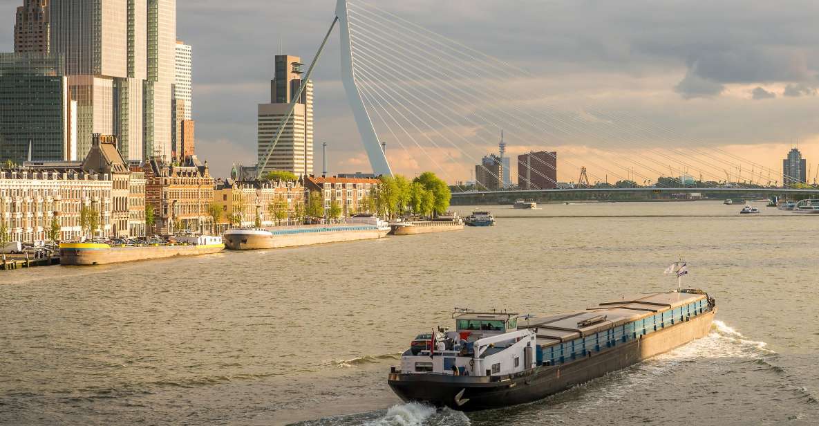From Amsterdam: Rotterdam and The Hague Tour in Spanish - Key things to know before you go