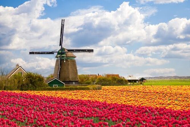 Giethoorn, Afsluitdijk, Zaanse Schans Day Tour Incl Hotel Pick Up - Key takeaways before you book