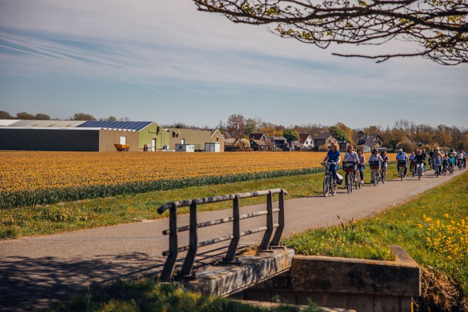 Keukenhof: Flower Fields Small-Group Cultural Bike Tour - Key things to know before you go
