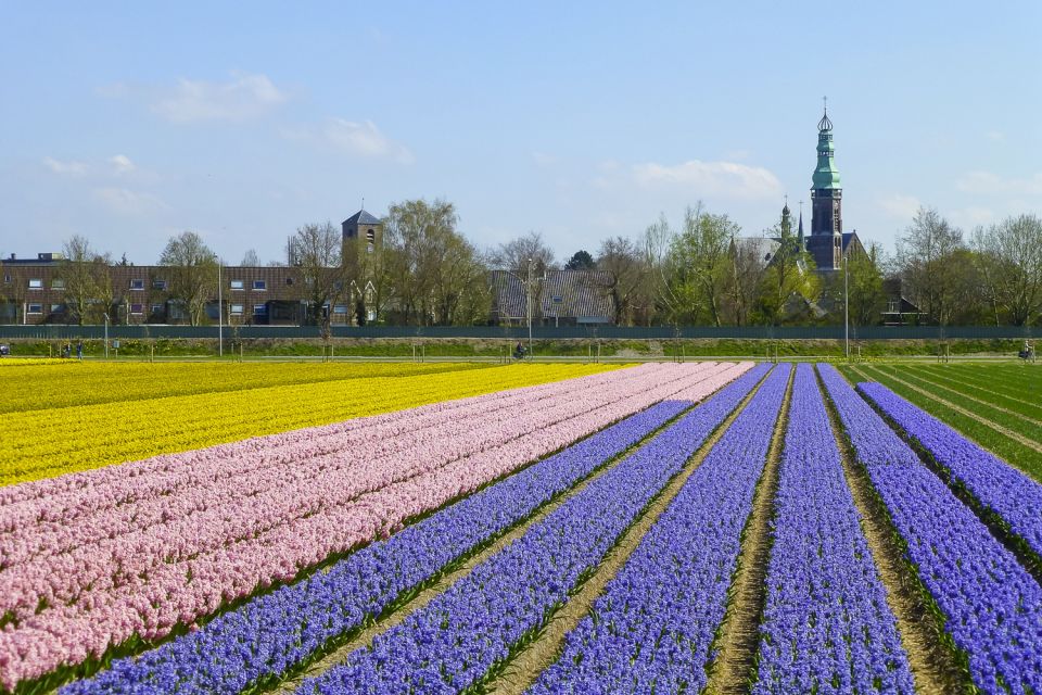 Keukenhof: Flower Fields Small-Group Cultural Bike Tour - Timing it with Keukenhof gardens: do this before or after