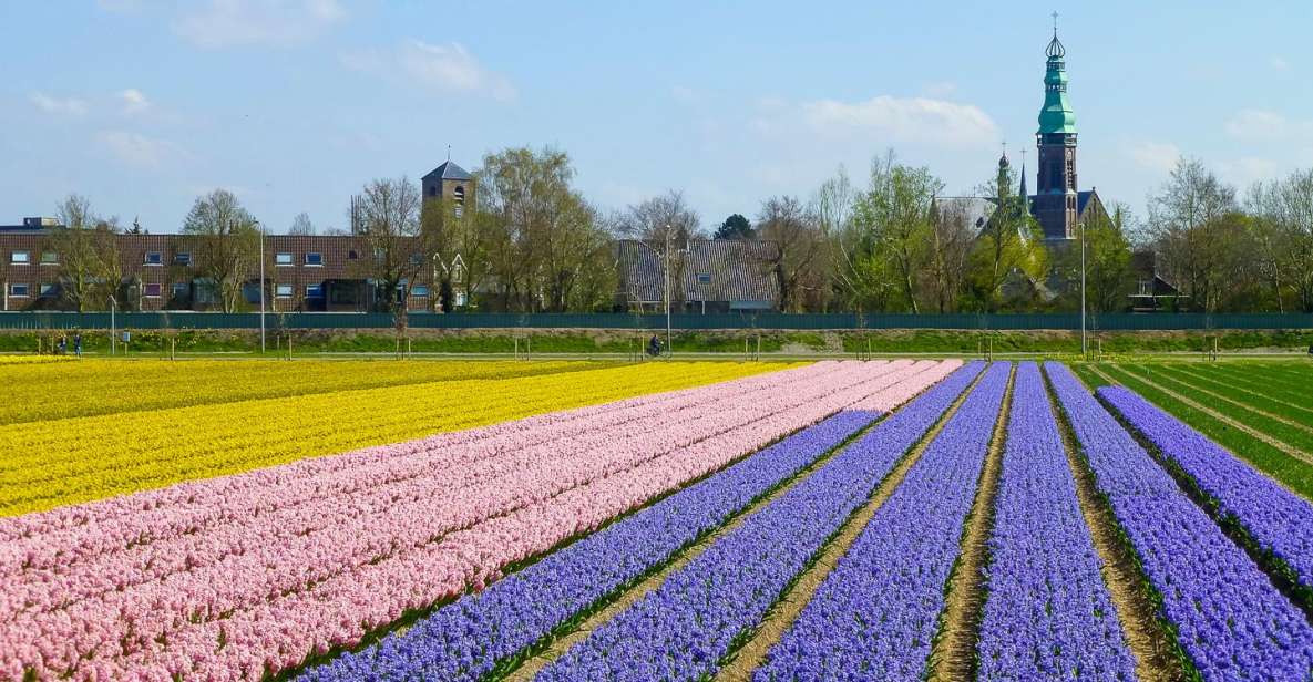 Keukenhof: Flower Fields Small-Group Cultural Bike Tour - Should you book Keukenhof Flower Fields by bike?