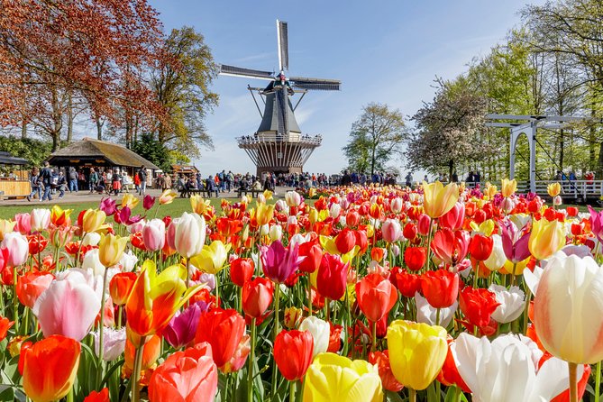 Keukenhof Gardens & Tulip Experience Tour from Amsterdam - Keukenhof Gardens: 32 hectares of paths, ponds, and bulb patterns
