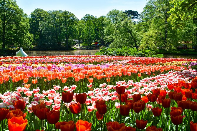 Keukenhof Gardens & Tulip Experience Tour from Amsterdam - Non-guided wandering: how to get the most out of self-exploration