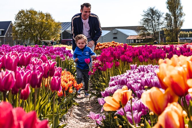 Keukenhof Gardens & Tulip Experience Tour from Amsterdam - Tulip Experience Amsterdam: indoor learning plus walkable show gardens