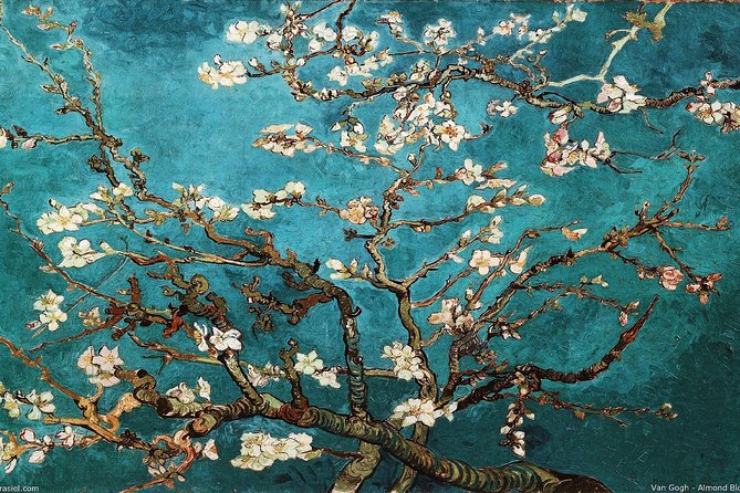 Van Gogh Museum Tour Reserved Entry Semi Private - Inside the Van Gogh Museum: what your guide will actually do