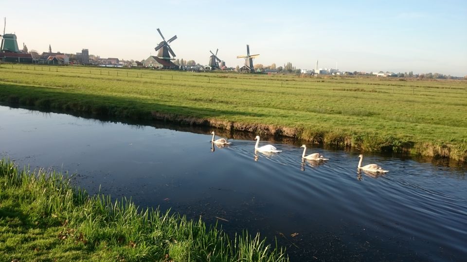 Zaanse Schans Windmills 4-Hour Tour in Italian - LEGO Houses in Zaandam: a smart optional bonus