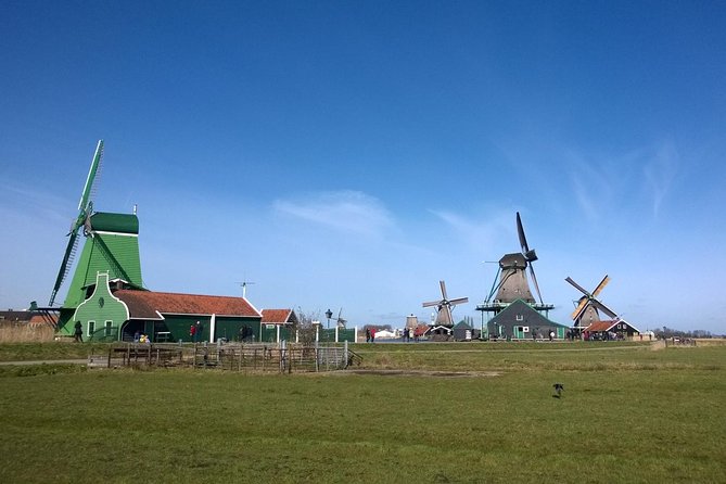 Zaanse Schans Windmills, Clogs and Dutch Cheese Small-Group Tour from Amsterdam - Catharina Hoeve cheese farm: presentation and tasting
